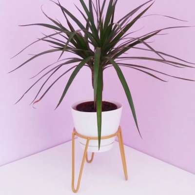 three tiered plant stand Metal Planter Stand